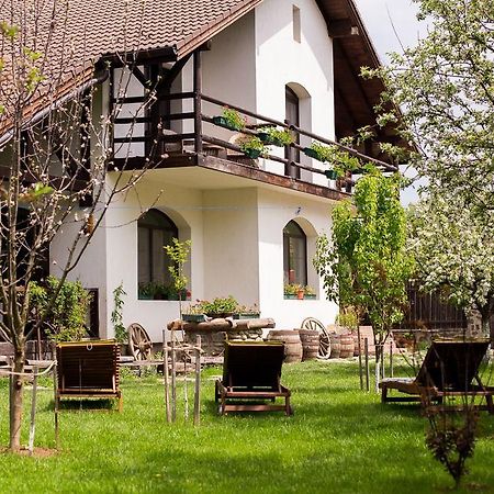 Casa Mosului - Transfagarasan Bed & Breakfast คือร์ตีโชอารา ภายนอก รูปภาพ