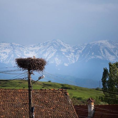 Casa Mosului - Transfagarasan Bed & Breakfast คือร์ตีโชอารา ภายนอก รูปภาพ