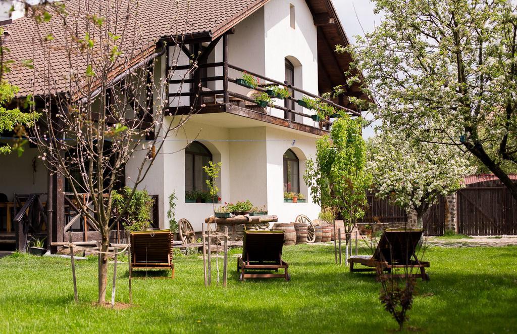 Casa Mosului - Transfagarasan Bed & Breakfast คือร์ตีโชอารา ภายนอก รูปภาพ