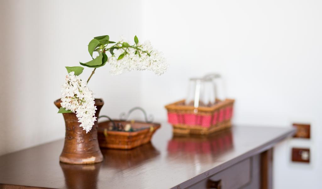 Casa Mosului - Transfagarasan Bed & Breakfast คือร์ตีโชอารา ภายนอก รูปภาพ