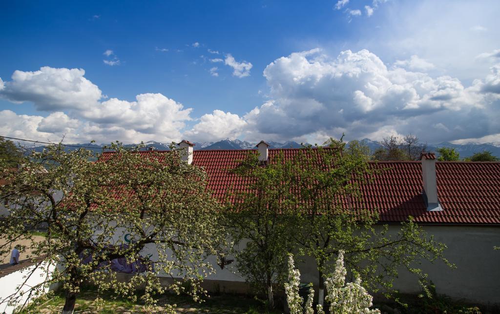 Casa Mosului - Transfagarasan Bed & Breakfast คือร์ตีโชอารา ภายนอก รูปภาพ