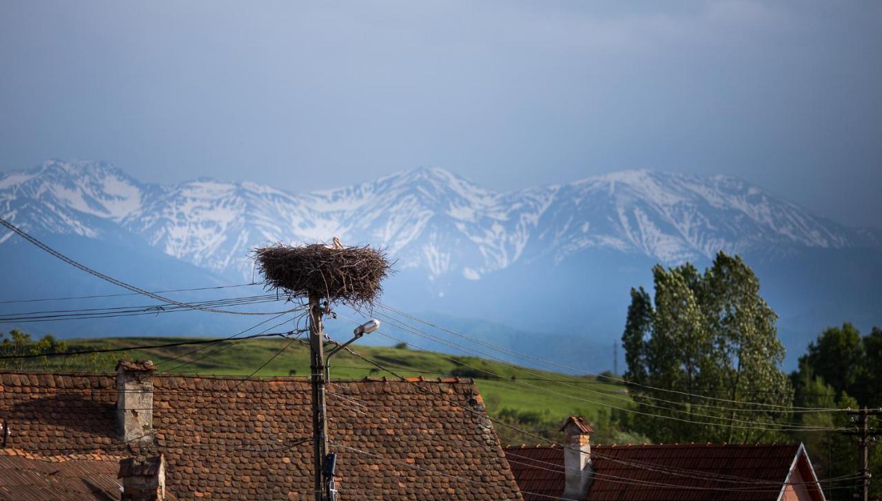 Casa Mosului - Transfagarasan Bed & Breakfast คือร์ตีโชอารา ภายนอก รูปภาพ